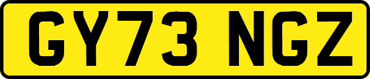 GY73NGZ
