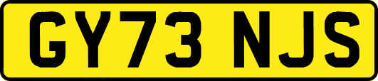 GY73NJS