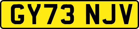 GY73NJV