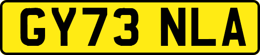 GY73NLA