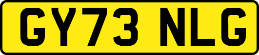 GY73NLG