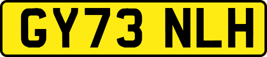 GY73NLH