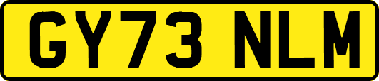 GY73NLM