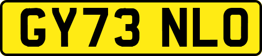 GY73NLO