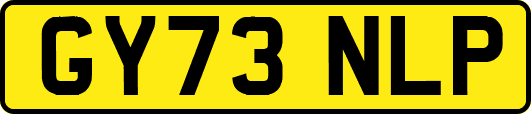 GY73NLP