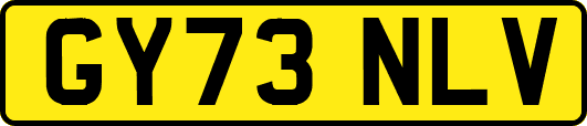 GY73NLV