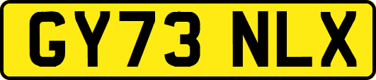 GY73NLX