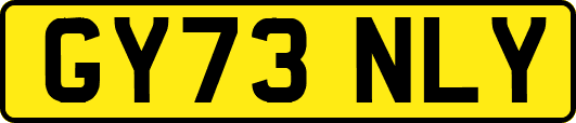 GY73NLY