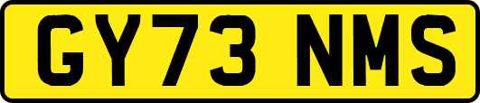 GY73NMS