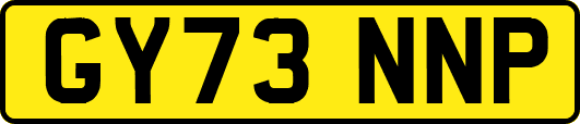 GY73NNP