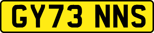 GY73NNS