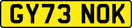GY73NOK
