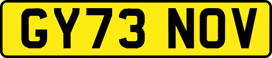 GY73NOV