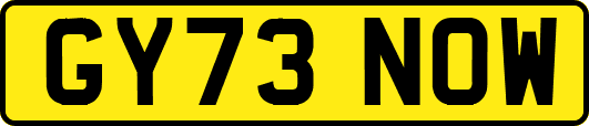 GY73NOW