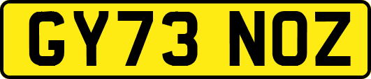 GY73NOZ