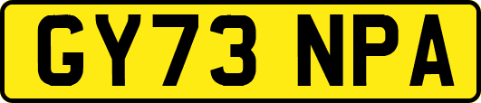 GY73NPA