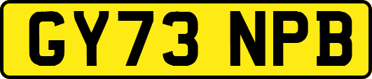 GY73NPB