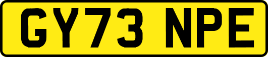 GY73NPE