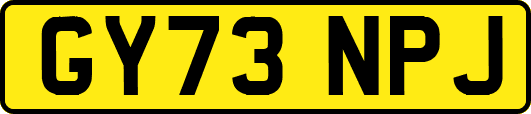 GY73NPJ