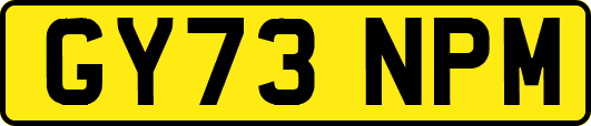 GY73NPM