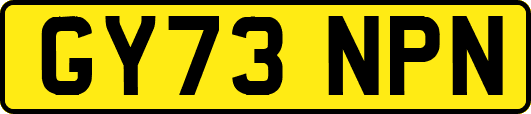 GY73NPN