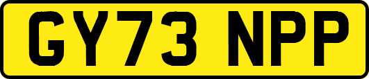 GY73NPP