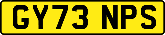GY73NPS