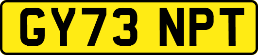 GY73NPT