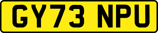 GY73NPU