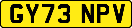 GY73NPV