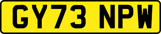 GY73NPW