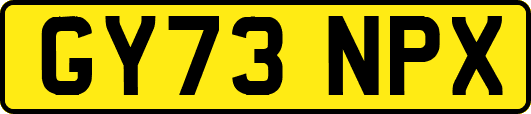 GY73NPX