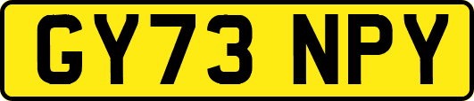 GY73NPY