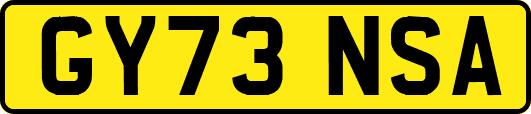 GY73NSA