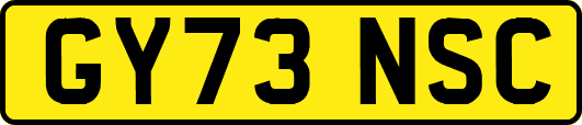 GY73NSC