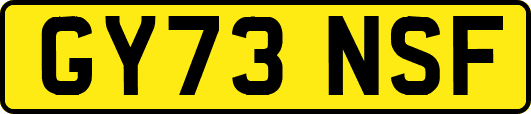 GY73NSF