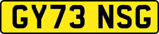GY73NSG