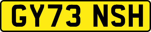 GY73NSH