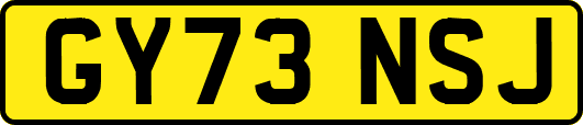 GY73NSJ