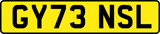 GY73NSL