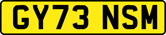 GY73NSM