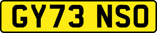 GY73NSO
