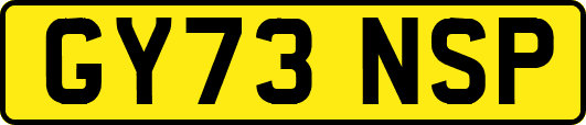 GY73NSP