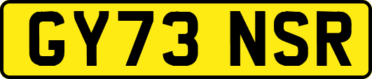 GY73NSR