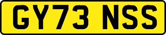 GY73NSS