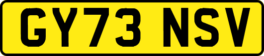 GY73NSV