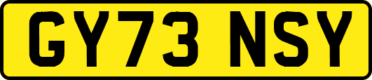GY73NSY