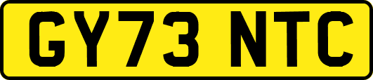 GY73NTC