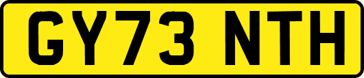 GY73NTH