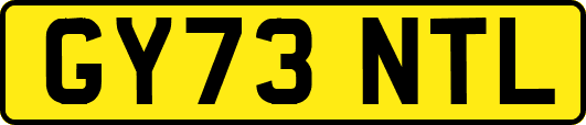 GY73NTL